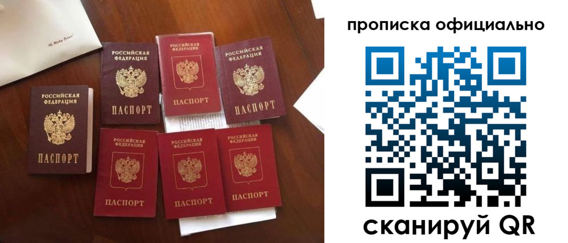 прописка законно в Белореченске